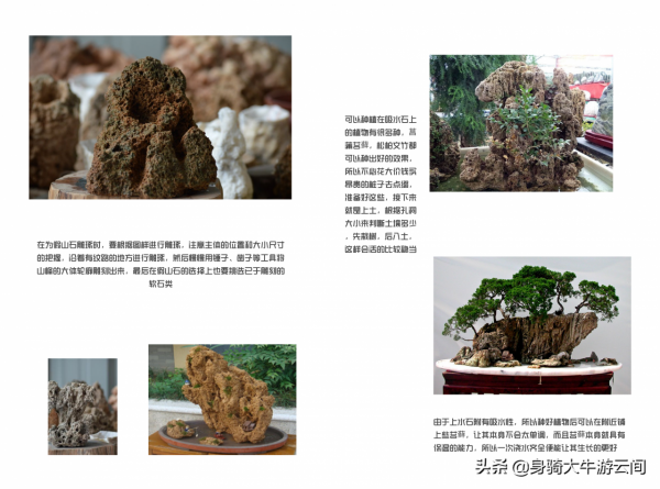 家庭微造景——“吸水石盆景”