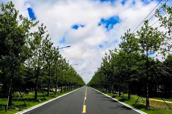 長三角這9條美麗鄉村休閒旅遊行（秋季）路線，你走過幾條？