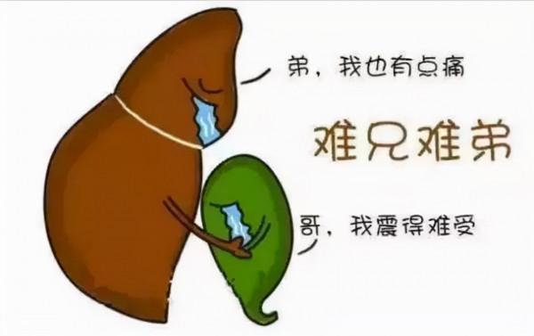 膽囊控訴：主人！膽結石都是你自己造成的，不要甩鍋給我