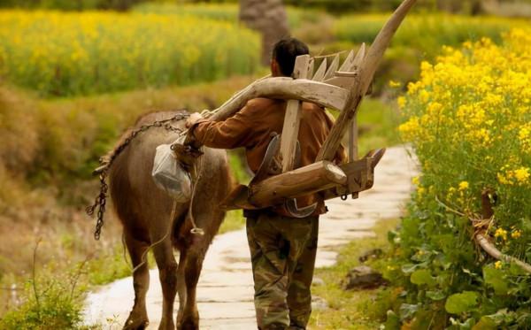 讀懂了《活著》，我活成了一個有彈性的人