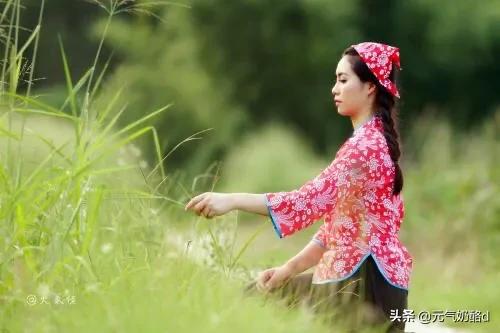 鄉野往事：野豬坪（四）