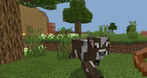 《我的世界》生物小課堂，讓我們來探索不為人知的生物小秘密