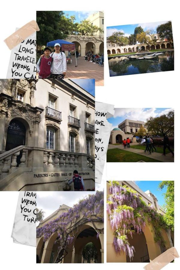 為啥小學學霸到初中不靈了?兒子進初中頻頻掉坑,讓我明白這幾點 為啥小學學霸到初中不靈了?兒子進初中頻頻掉坑,讓我明白這幾點