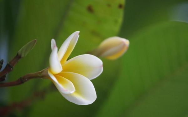 9月27日星座運勢:順勢而為,銳不可當的四大星座 9月27日星座運勢:順勢而為,銳不可當的四大星座