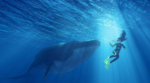 人生猶如一場旅行，學會斷舍離，讓旅行變得快樂，讓生活變得簡單