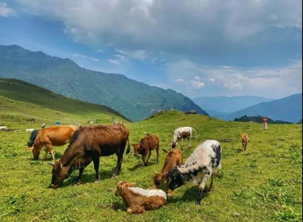 逃離城市！四川最美的10個神仙村落，第一個就心動了