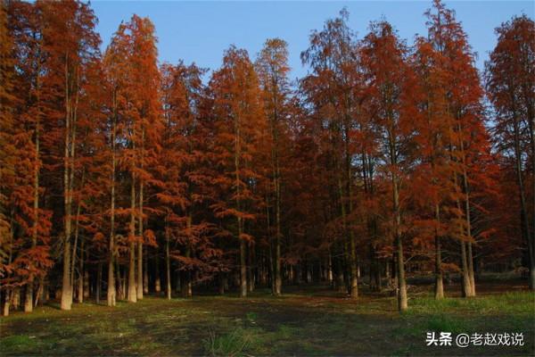 回顧2021年離世的企業家，有人壽終正寢，有人去世前還在工作