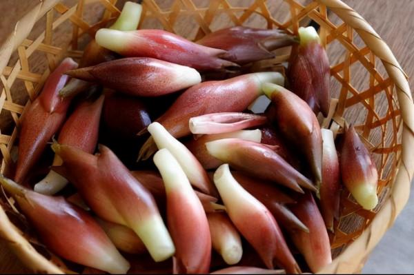 農村五種不生蟲“懶人蔬菜”，簡單易種，種一茬連續吃幾年多好