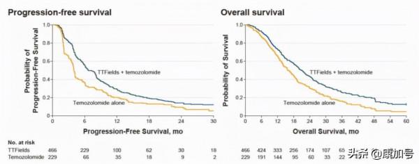 抗癌黑科技:電場療法能治療肝癌、腦癌和乳腺癌 抗癌黑科技:電場療法能治療肝癌、腦癌和乳腺癌
