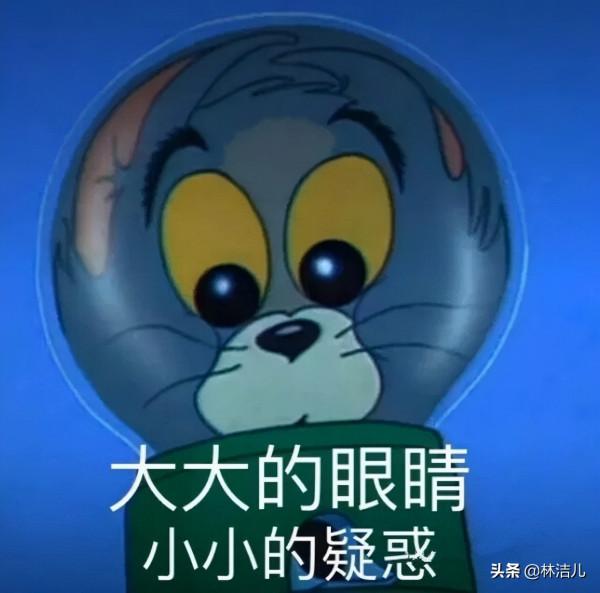 金晨的生圖真的美到讓人驚豔,天鵝頸好優雅,不愧是學舞蹈出身的 金晨的生圖真的美到讓人驚豔,天鵝頸好優雅,不愧是學舞蹈出身的