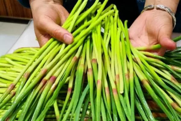 這菜冬天不懂吃可惜了，隔天炒一盤，降壓通便護肝臟，老人適合多吃