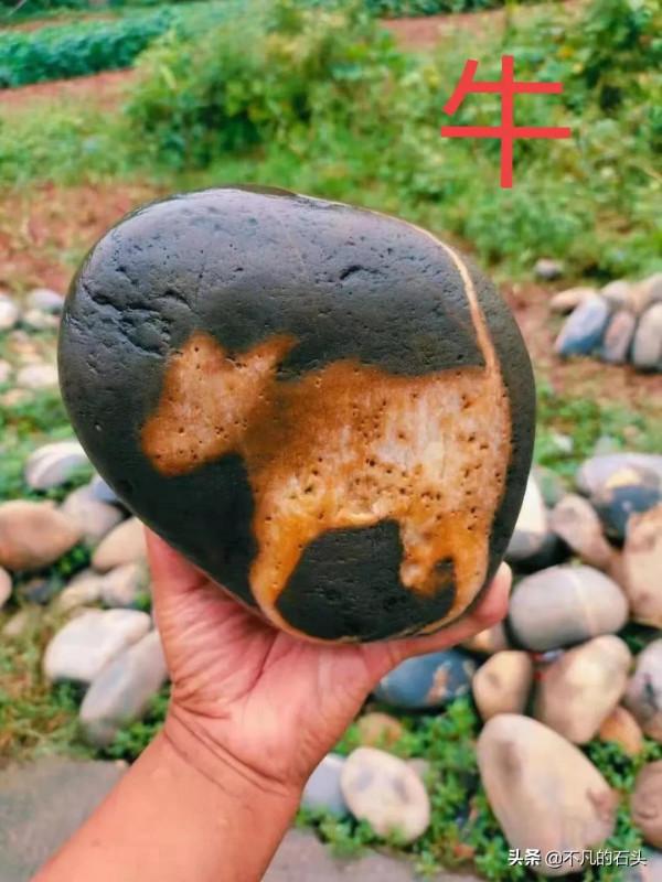 十二生肖畫面奇石,想要湊齊真不容易 十二生肖畫面奇石,想要湊齊真不容易