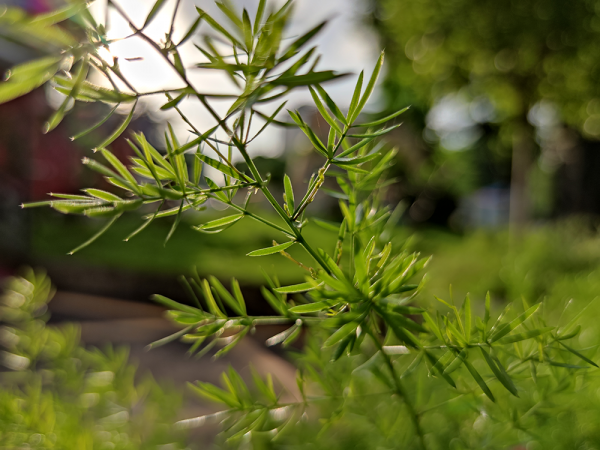 二手值得買 | 小米 10 Pro：官網下架後反而更火的「真」旗艦