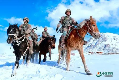 “悍馬”和騾馬並存，畜力不代表落後，軍隊運輸多樣化因地制宜