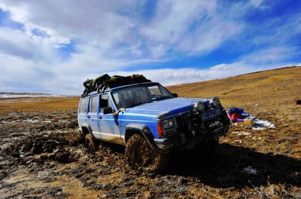 可可西里為何不允許隨意進入？帶你深度瞭解這一“人類禁區”