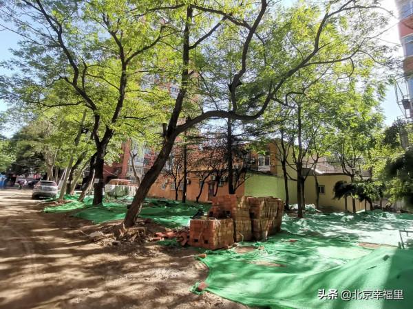 這個緊鄰三環的老小區，為何熱度這麼高？