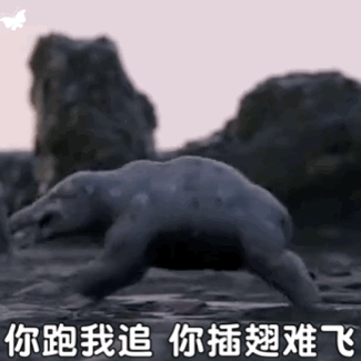 超火的奧特曼表情包,來一組唄 超火的奧特曼表情包,來一組唄