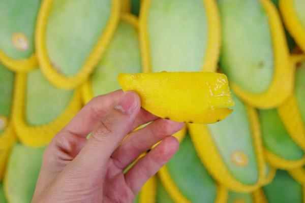 在這裡我毫不焦慮，還實現了水果自由