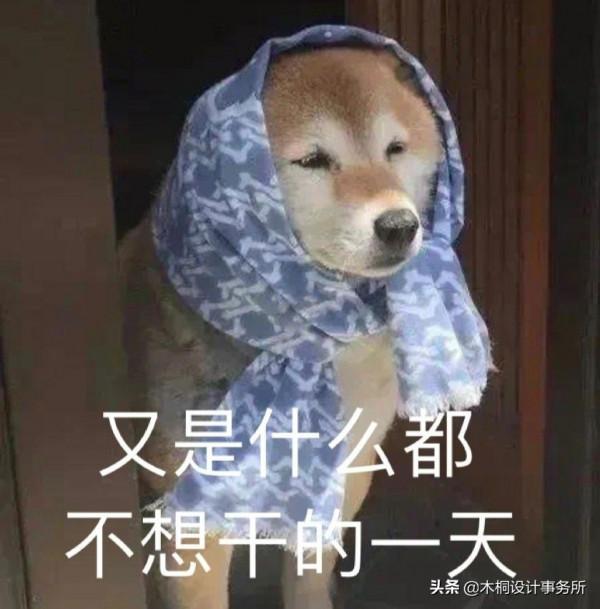 房子裝著不想要了,又來住著住著想重灌了? 房子裝著不想要了,又來住著住著想重灌了?