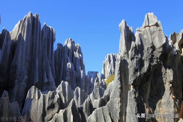 雲南的30個冷知識,你確定都知道嗎? 雲南的30個冷知識,你確定都知道嗎?