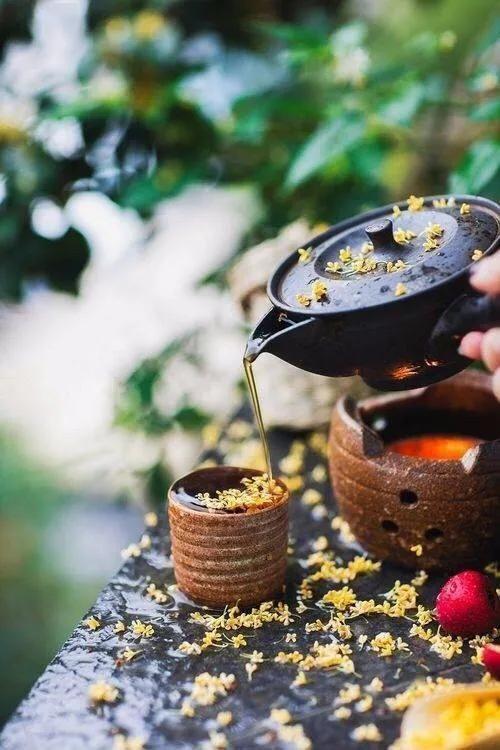 重陽節前話“東籬” 重陽節前話“東籬”