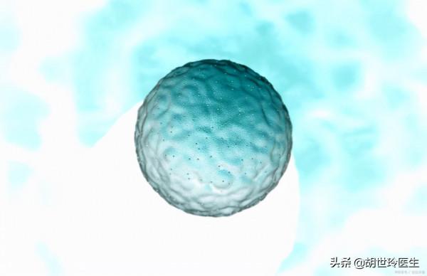 失敗率高？影響試管嬰兒成功率的原因有哪些？