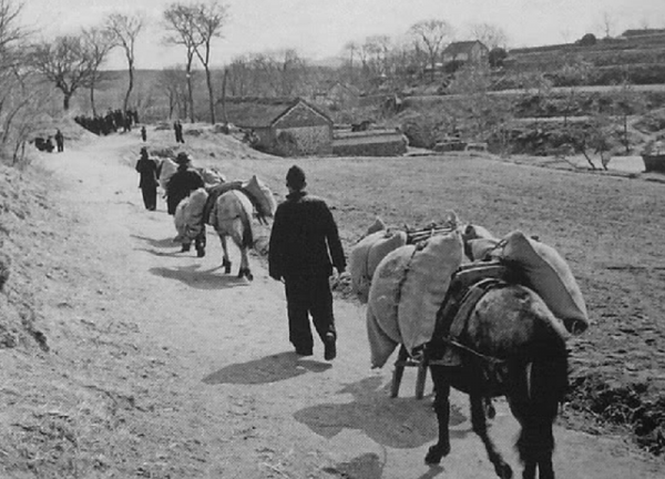 建國前夕，傳奇名將阮英平被三個地痞亂棍打死，粟裕：血債血償