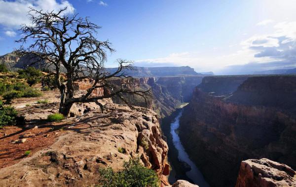 羅拉多大峽谷：一個舉世聞名的自然奇觀