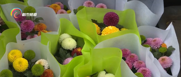 雙節臨近 盆栽花消費漸熱