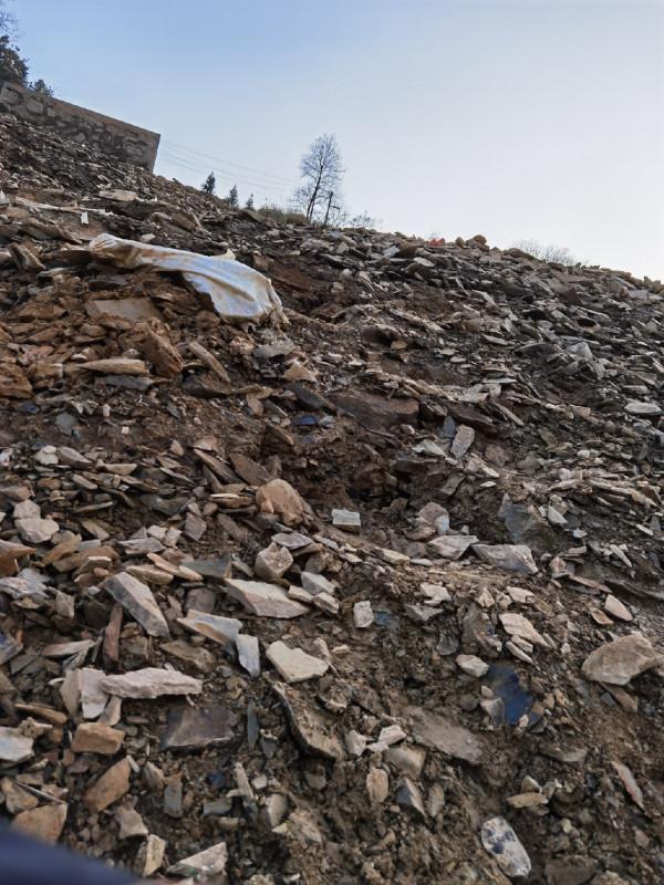 官莊水庫野釣爆護之旅,看看大師如何使用者實踐來證明 官莊水庫野釣爆護之旅,看看大師如何使用者實踐來證明