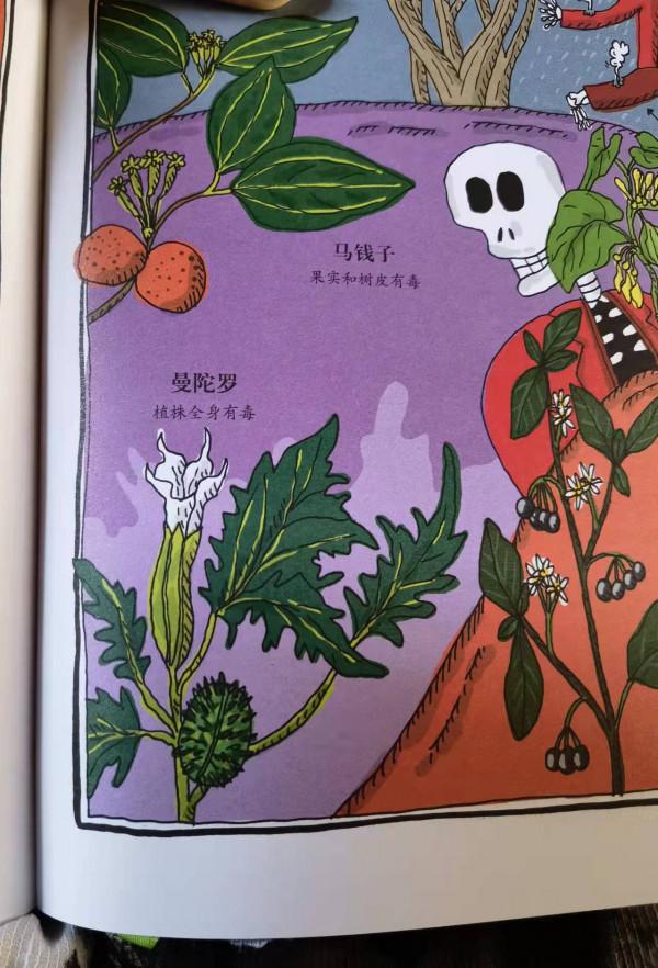 讓孩子們愛不釋手的植物新繪本，你知道《植物的朋友圈》有誰嗎？