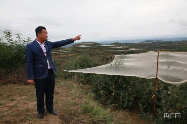 長征路上新青年 | 志丹青年與他的紅蘋果樂園：這裡藏著“共富密碼”