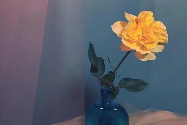 看似沉默寡言,其實從不停止努力的星座,低調內斂,是可造之材 看似沉默寡言,其實從不停止努力的星座,低調內斂,是可造之材