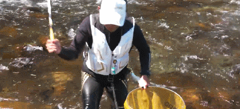 「漁具資訊」「SHIMANO」LIMITED PRO TF