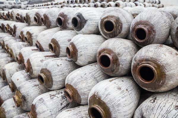 高手選會稽山的四大理由，期待烏雞變鳳凰