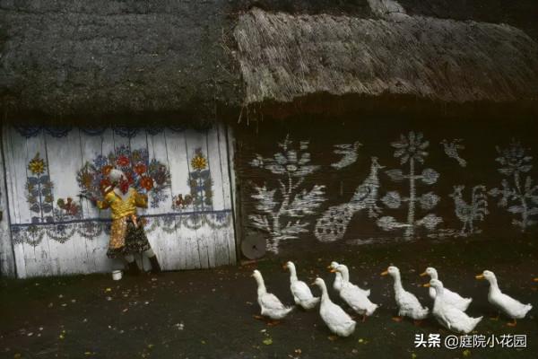 她們把鮮花種在牆上，一不小心這個村莊就美成了童話