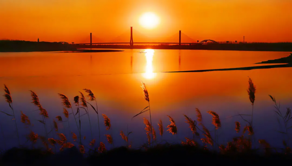 再不去看就晚了！山東6個小眾又絕美的賞蘆勝地，濃縮了整個冬日的浪漫！