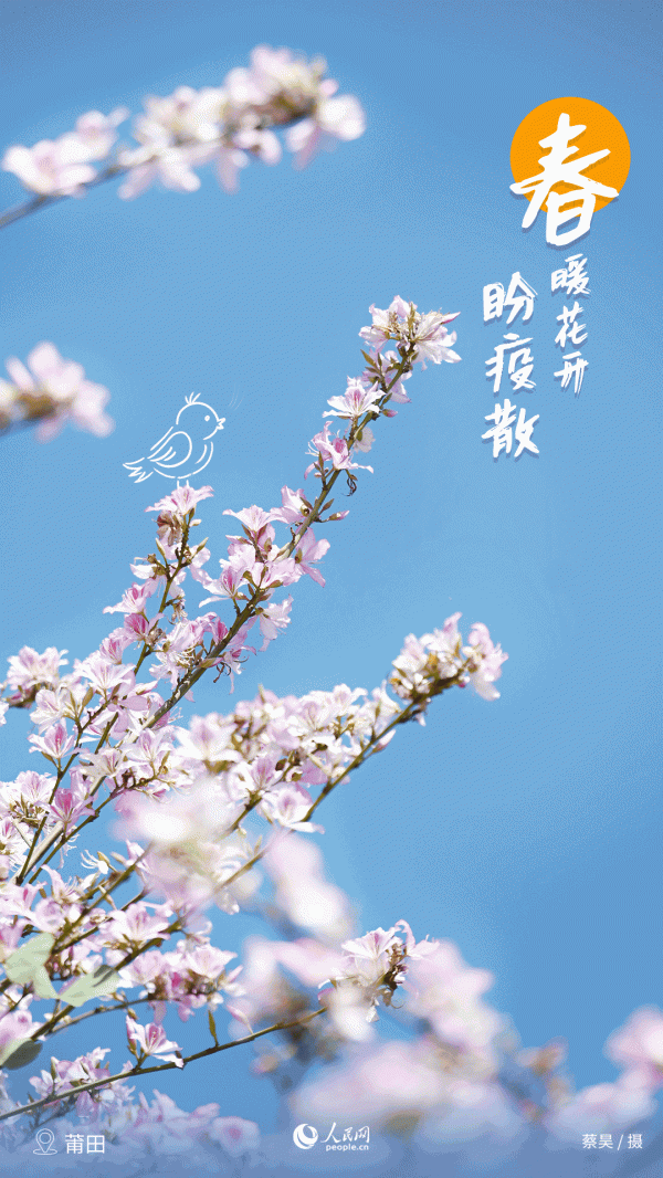 春風過處，草也青青，木也欣欣！福建的春天美醉了……