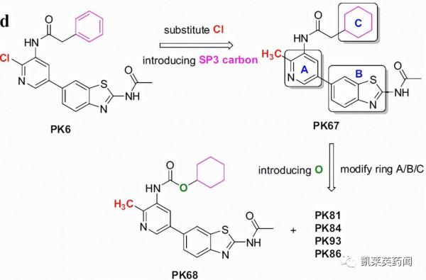 靠臨床前專案，愛科諾生物完成超5000萬美元B輪融資