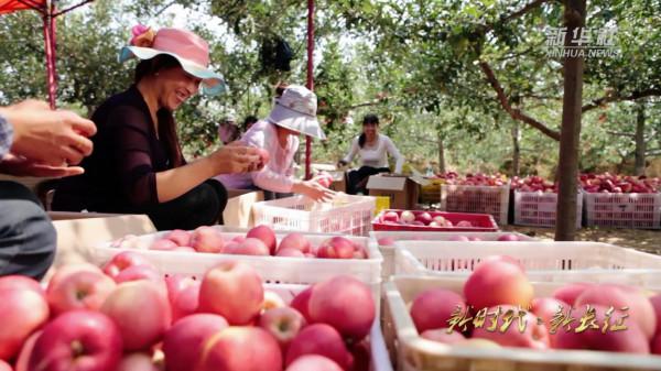 新時代·新長征丨陝西延安:綠色發展譜寫“新篇章” 新時代·新長征丨陝西延安:綠色發展譜寫“新篇章”