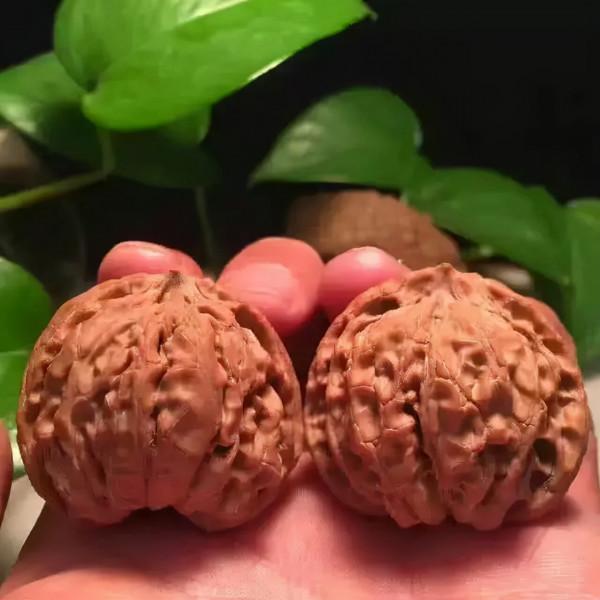 油亮如漆，盤核桃小技巧