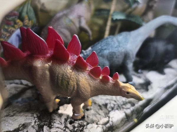 我的2021 又十二超市裡拍攝的恐龍