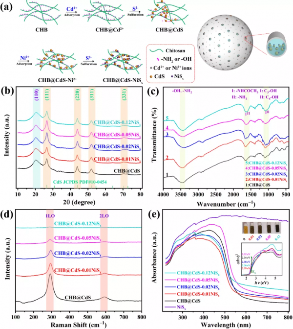 無定形NiSx中不飽和邊緣S對CdS親水性凝膠球析氫活性的影響