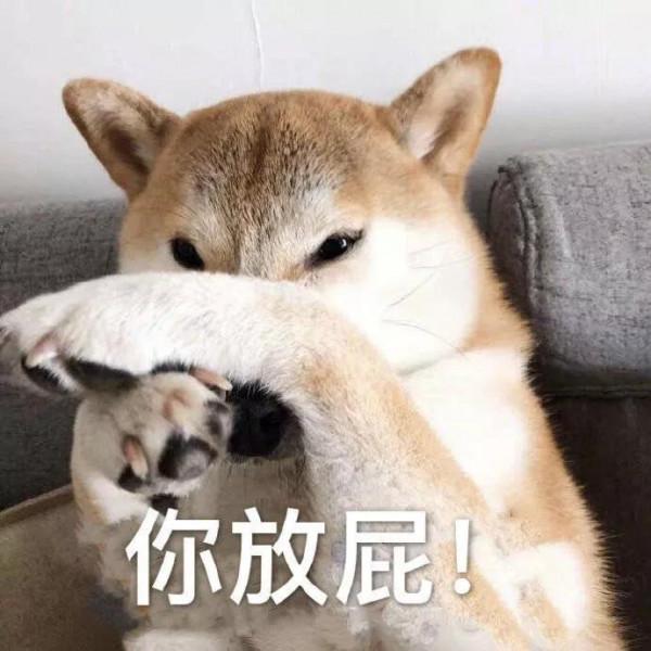 動物表情包