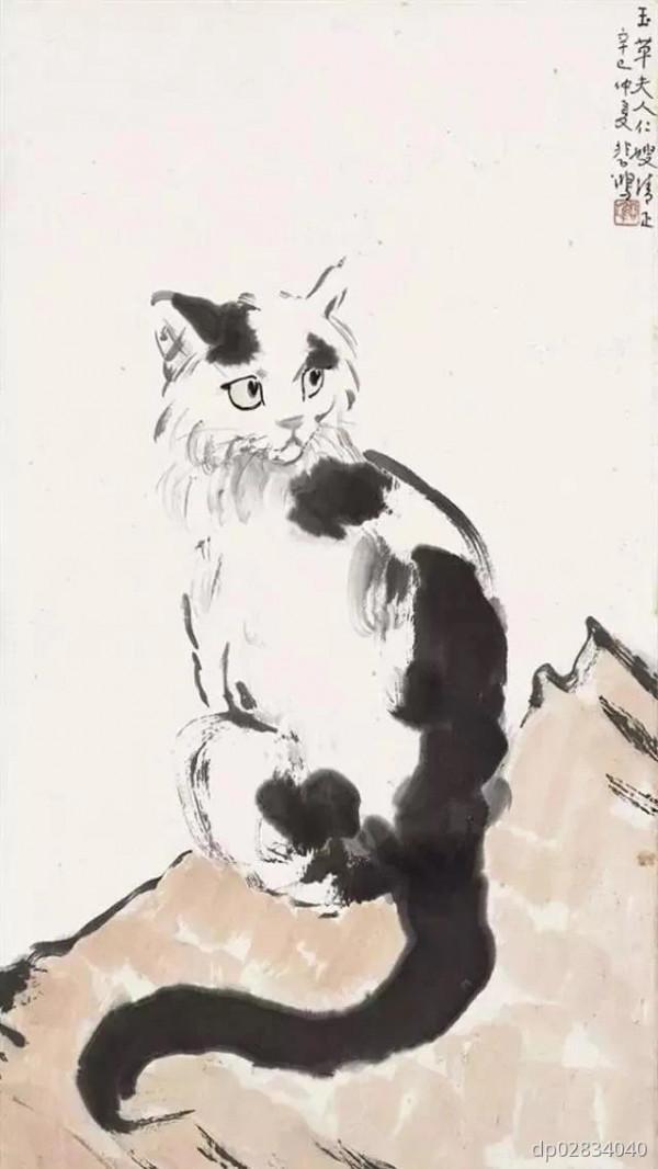 實在太多了，大家抱走一隻吧——貓