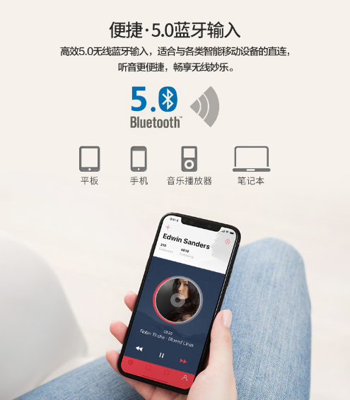 惠威 D1100桌面式藍芽音響