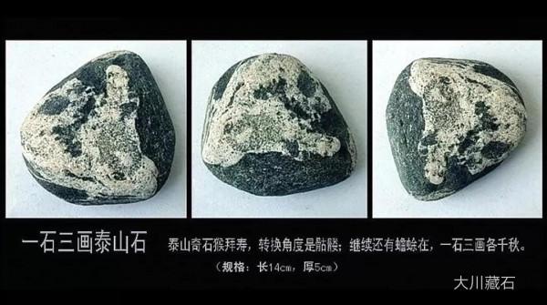 大川藏石56圖分享，天然奇石美不勝收