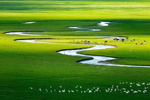 內蒙古之行（前幾天我說了內蒙古的冷〈再說說所見所聞〉