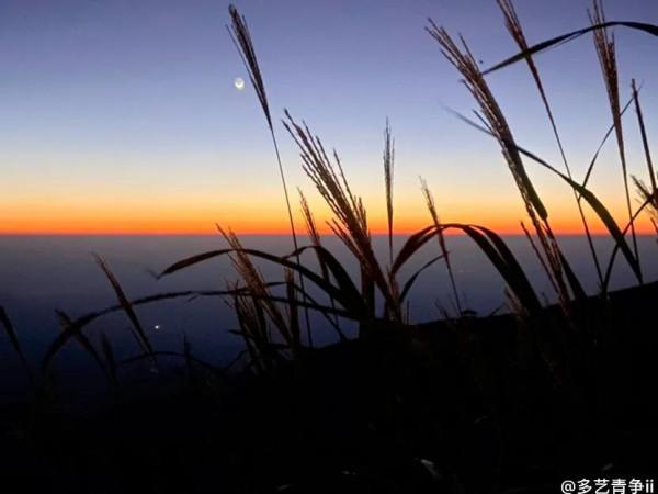 你相信星座運勢嗎