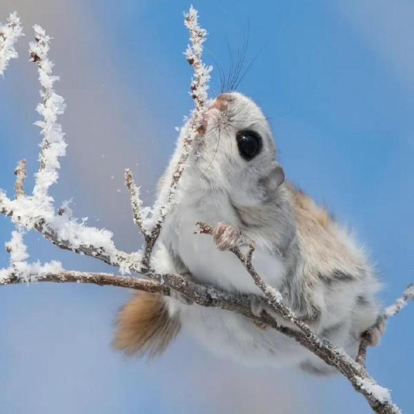 停止內耗，掌控自己的生活節奏